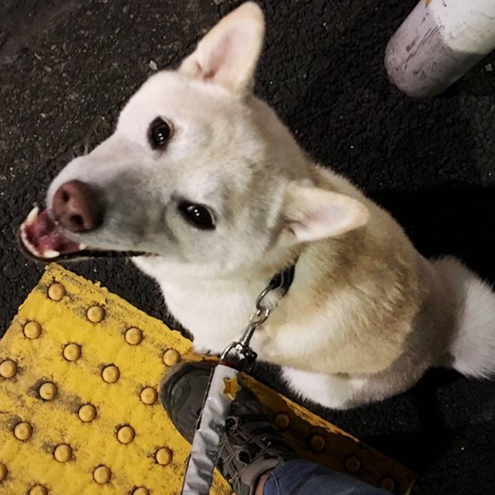 9af677a5 dd4d 41a3 904c 356eb291069d