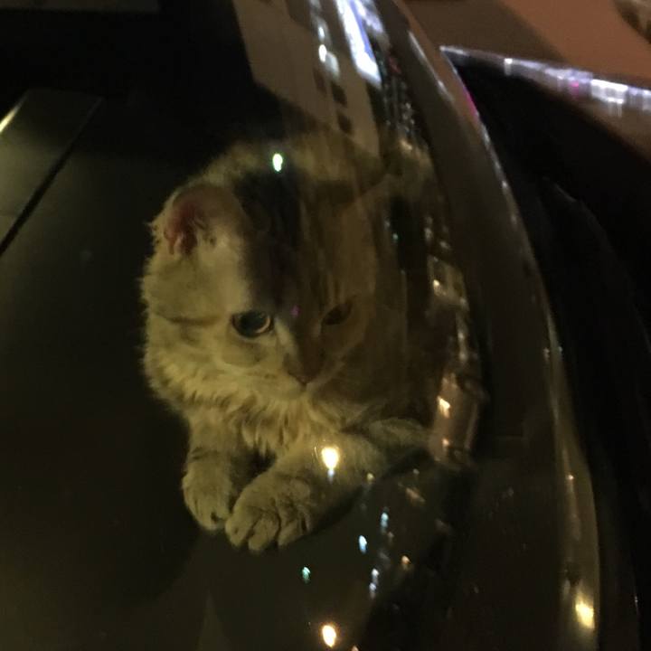 9af68eab d5ca 4d8d 97ae 2970d7d3eee8