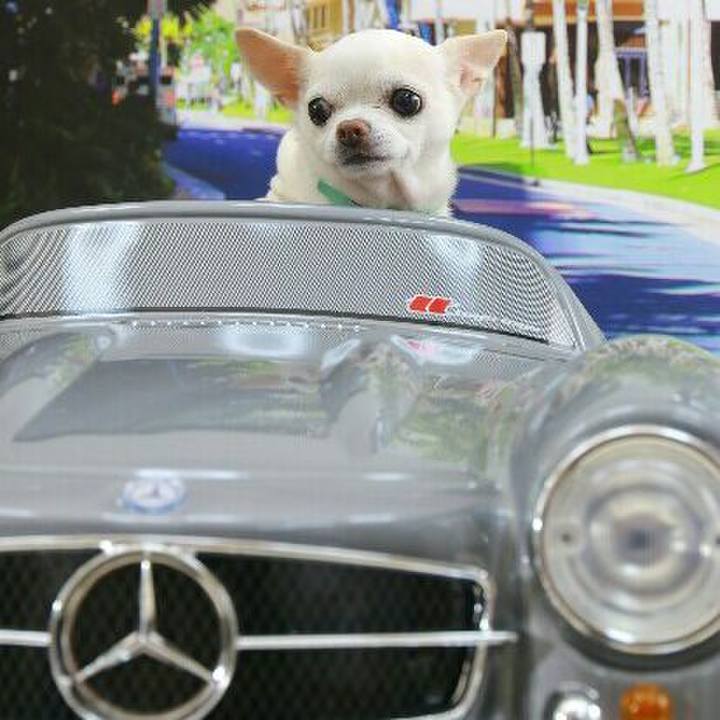 9af6b165 aae4 4f9d 9cf0 e079c2143914