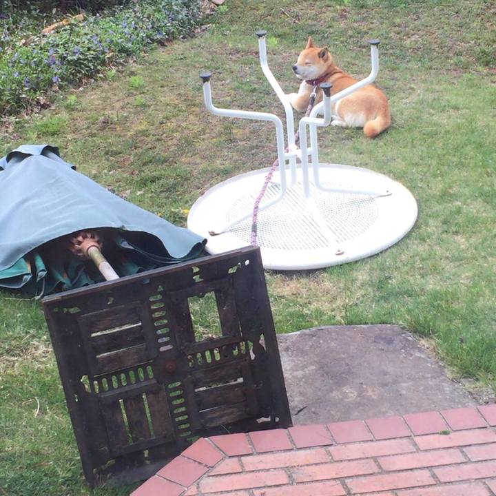 9af6c954 c266 4ccd 8ac8 4d5d3969968e