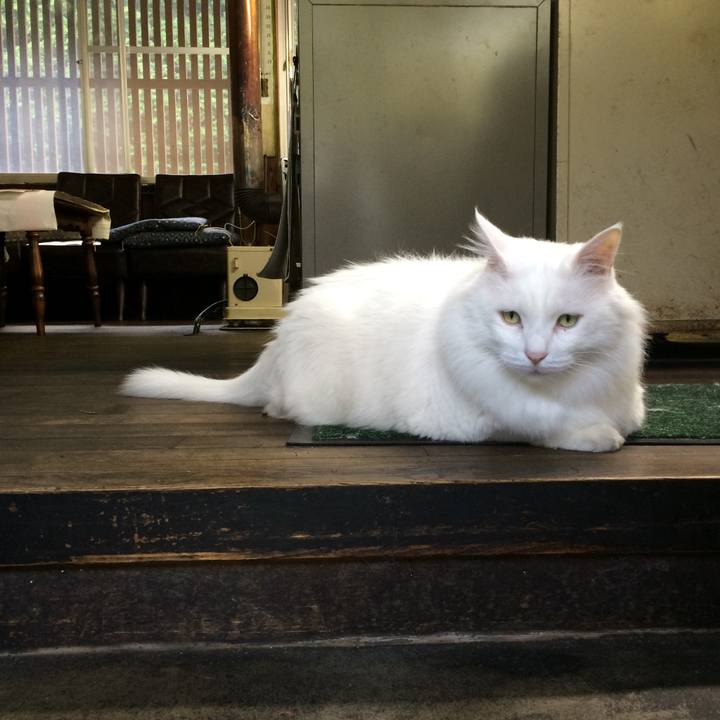 9af82307 250c 46b1 8f0c 5bb4551168da