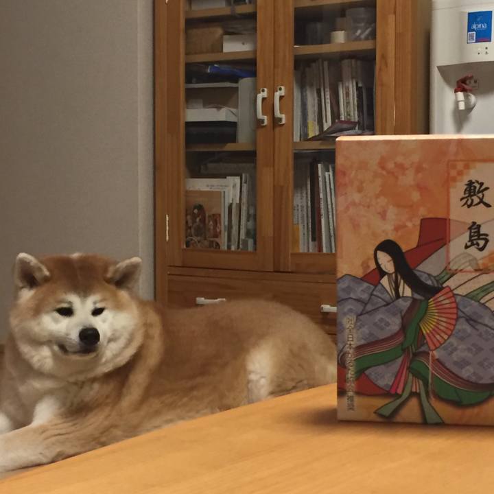 9af8b97c 5779 44e1 84dd 9d1451c5c231