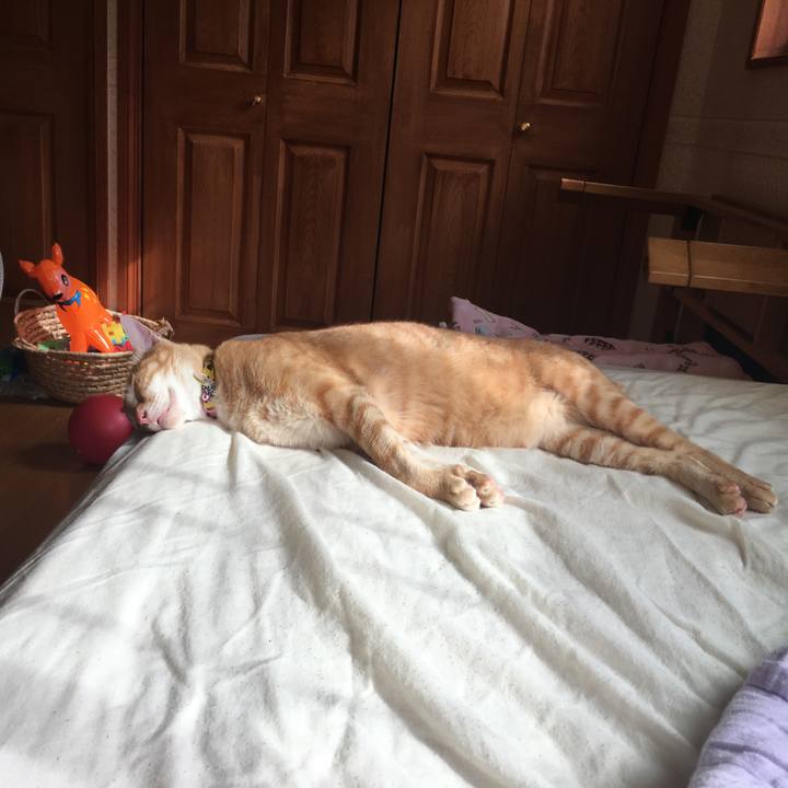 9af94ea5 54c5 4ae3 a9e8 42b61e9ed156