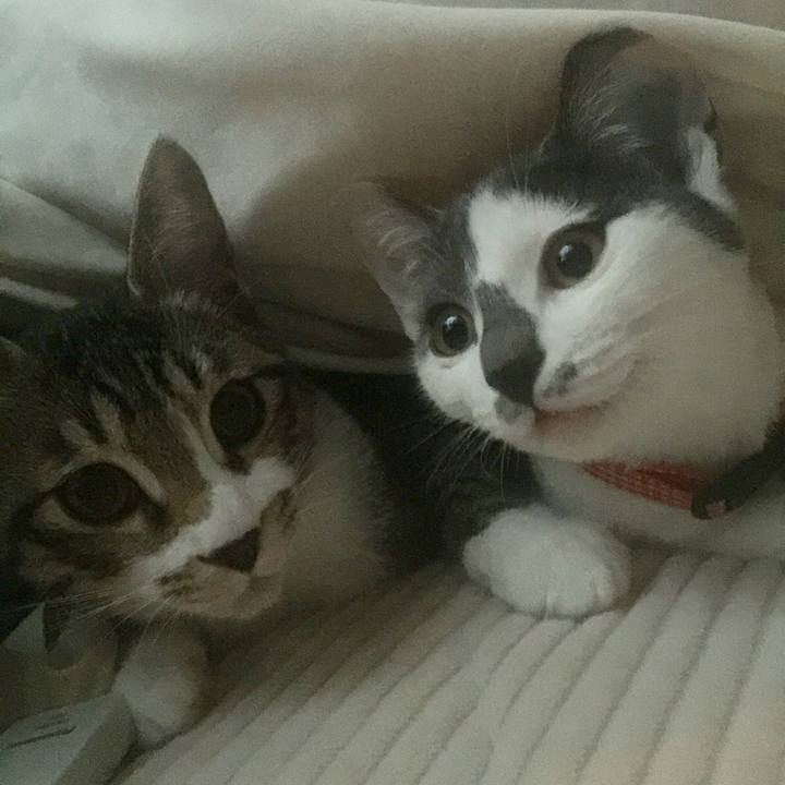 9af96d98 a36c 42fd b0b4 50b9b73e8631