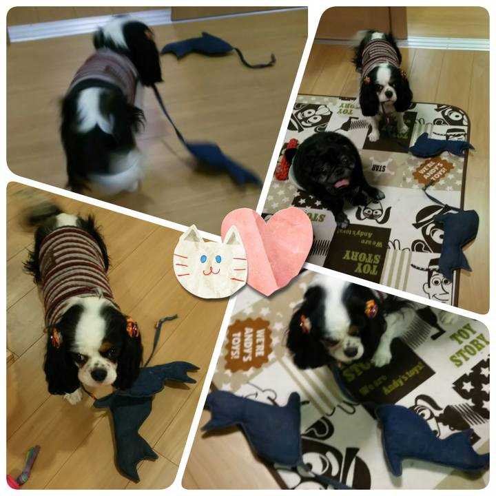 9af98c96 a8bf 4205 98da c7c43fd3cea0