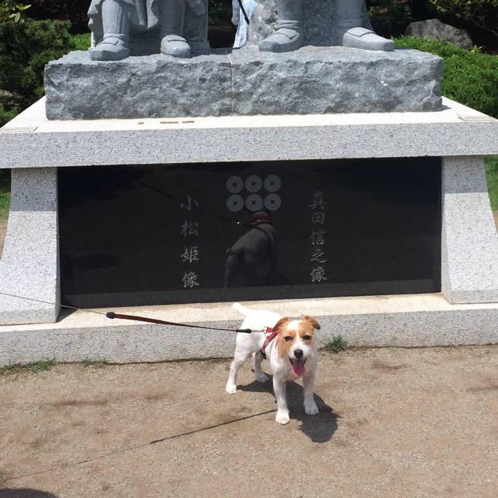 9afa17c2 308f 456c 9512 997073c543b9