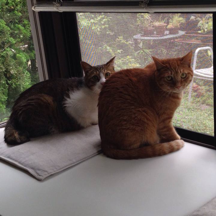 9afacb78 f500 4931 b73f fe7fb0379f09