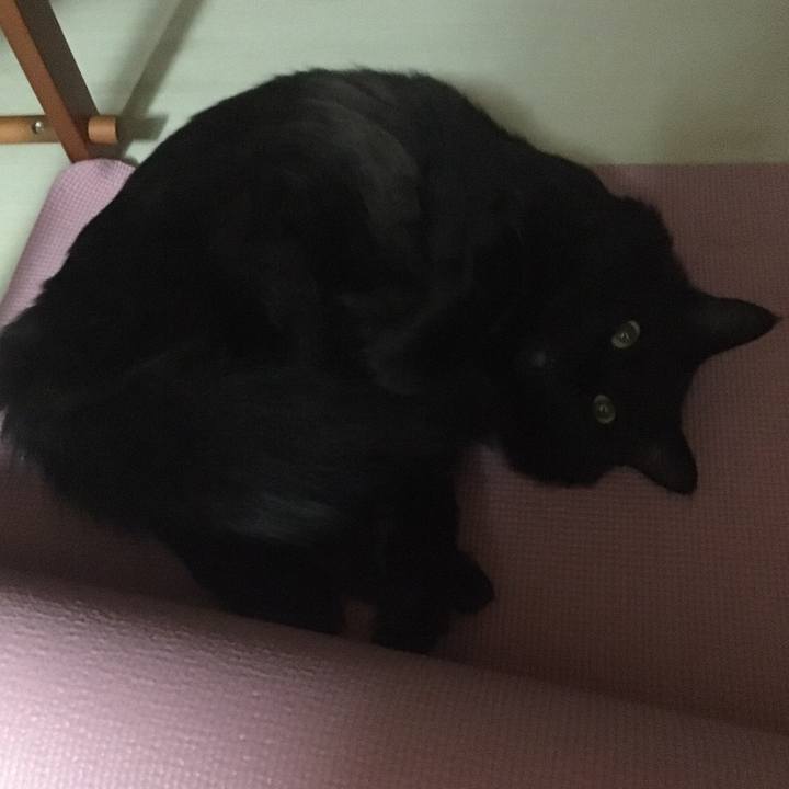 9aface65 cc9e 47ee 933a eb1b412fac2f