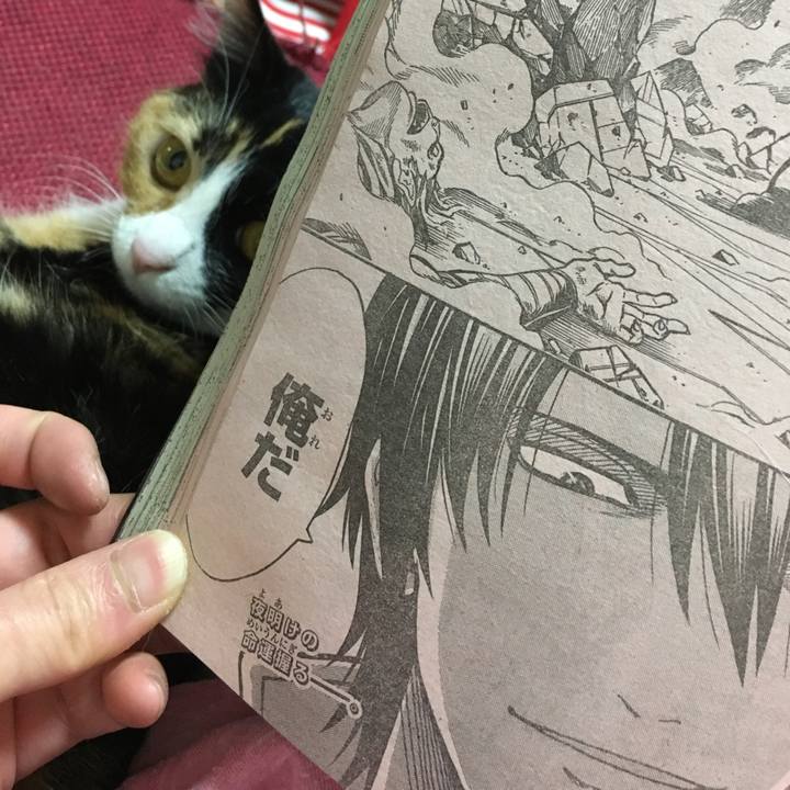 9afae560 df75 45e0 bb90 0ff09fc1aeaf