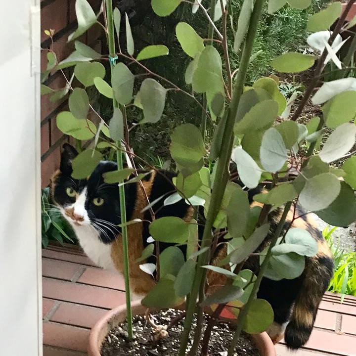 9afb961a 97cd 4608 83cb b801018733f7