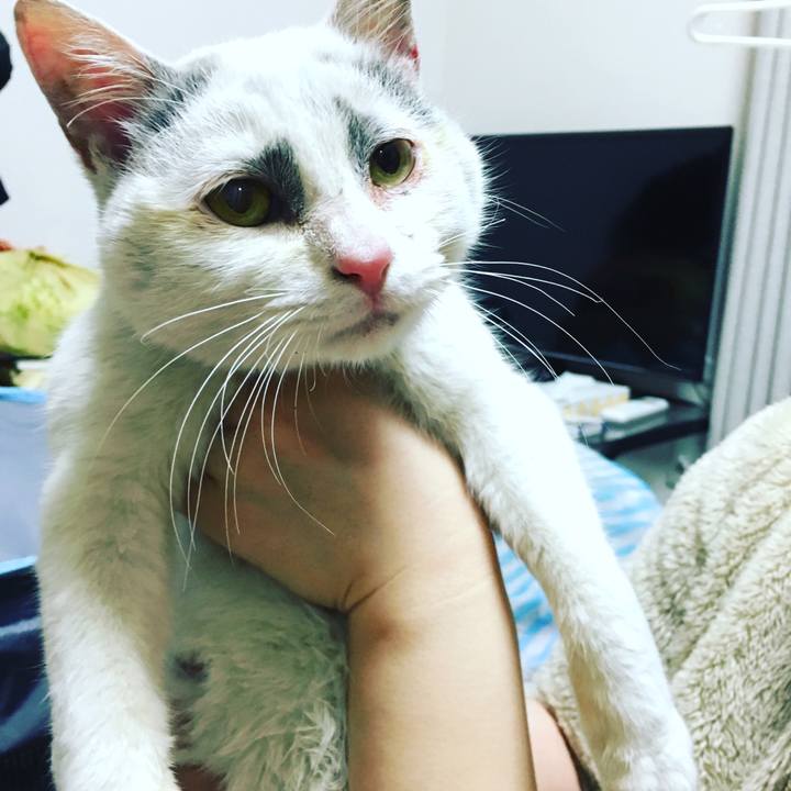 9afbd28b a8ad 411c b576 eaf13cf83437