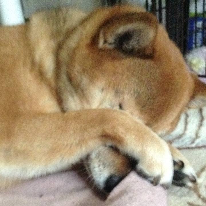 9afc0c5c 547a 441a 84a3 321bb44beed3