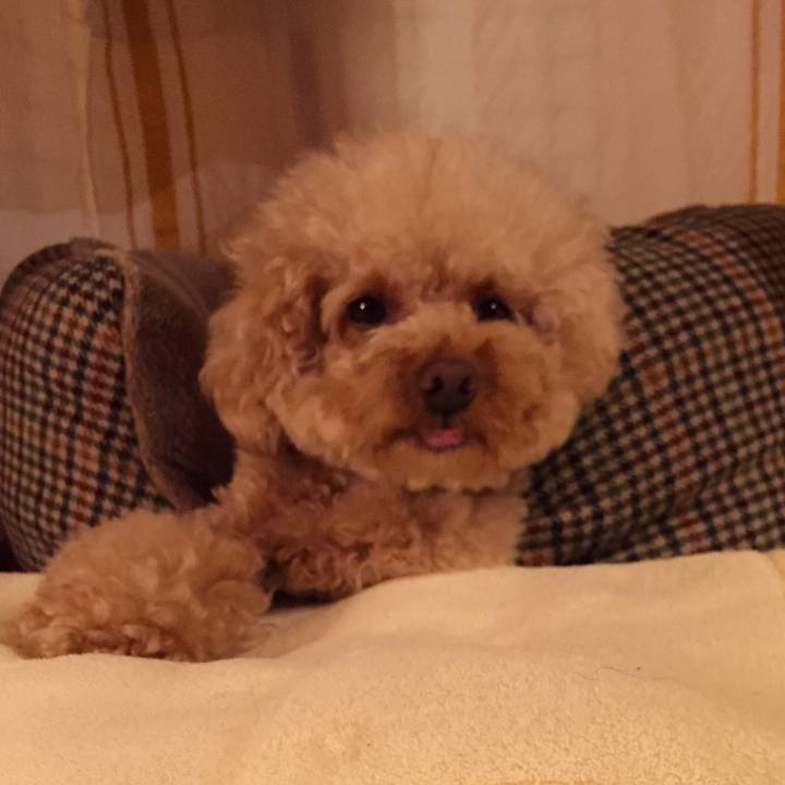 9afc8f3f 937d 43e6 92d4 8aa738dbf1b8