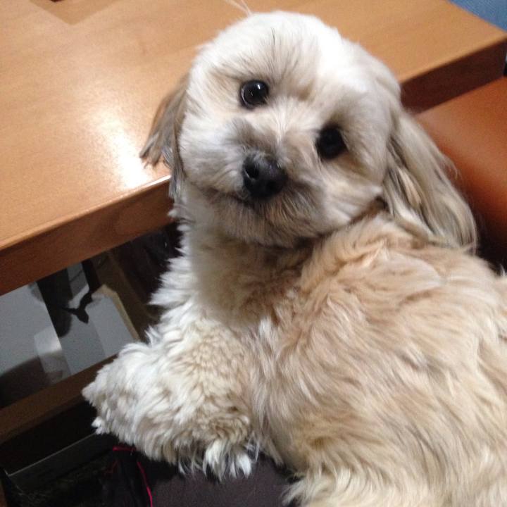 9afcc668 654c 4408 ae8f fc7f8cf7d6cd