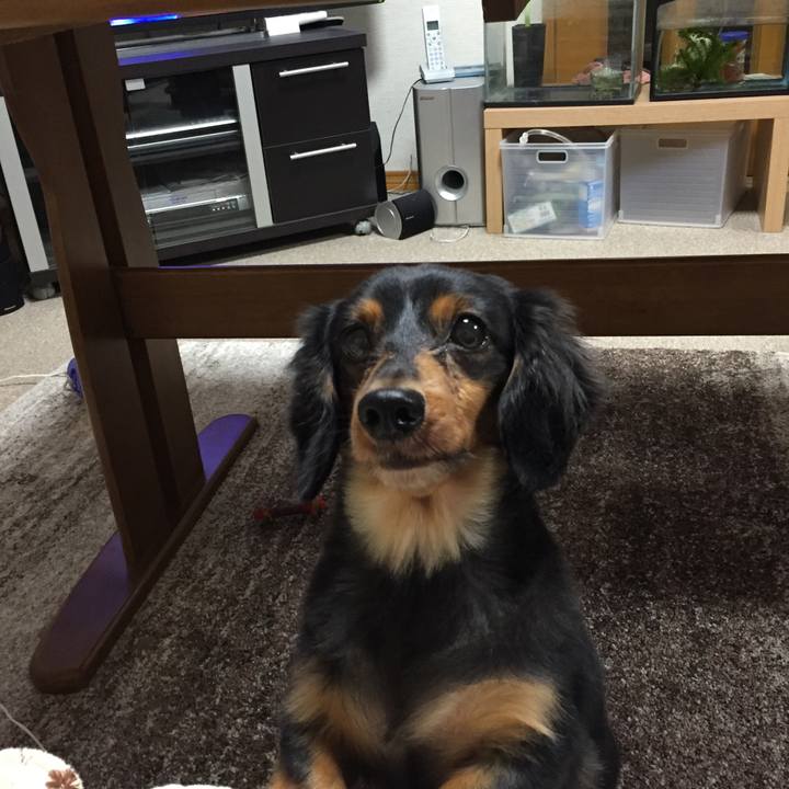 9afcd12c 0b3a 457c 92f6 7be879b55595