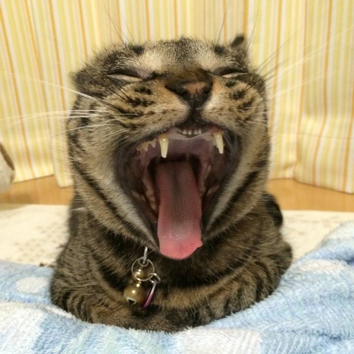 9afd168f e816 4df2 8952 e5efb1b10829