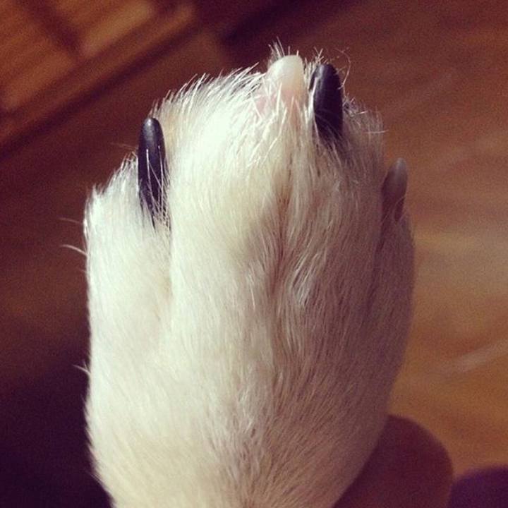 9afd69c6 8777 4404 86fb 4123d96cad74