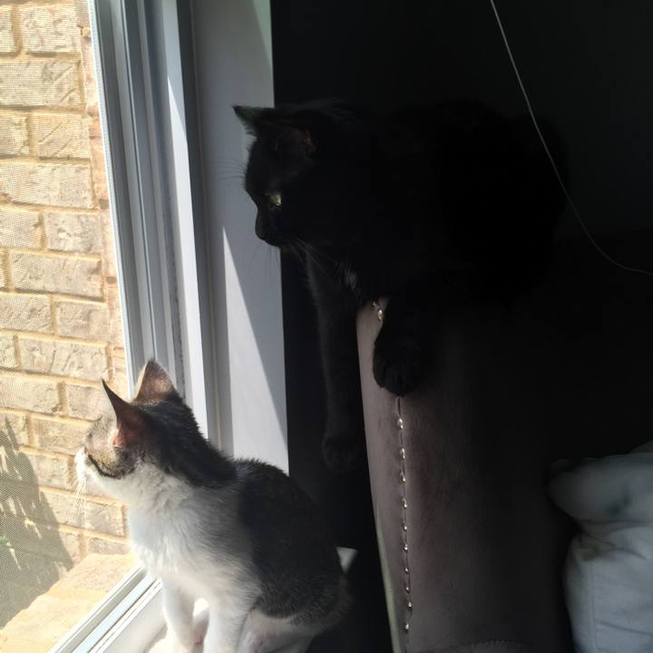 9afd87e3 d4b9 4cc4 9480 ee908fc31c14