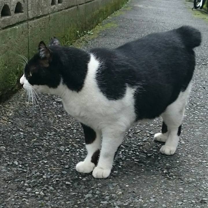 9afd998f ca1c 4db6 9e75 cb4a0769eb25