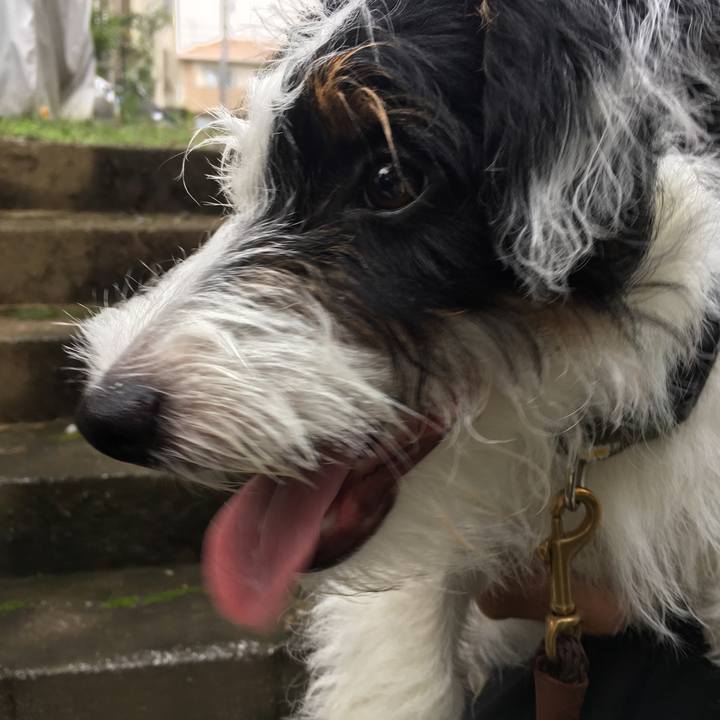 9afdcf30 5bd3 4b90 9551 4f4aa24ca048