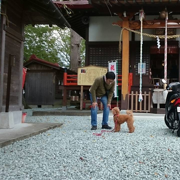 9afddca2 134e 4558 b04a 7377987dc5f5