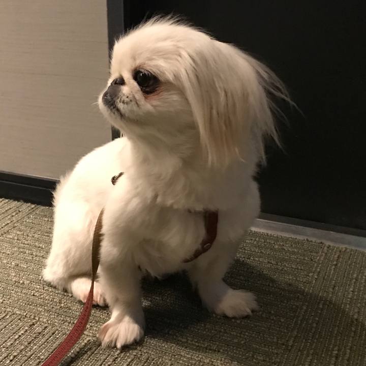 9afe4386 e2c3 4aab 89c1 66a2dbc6f567