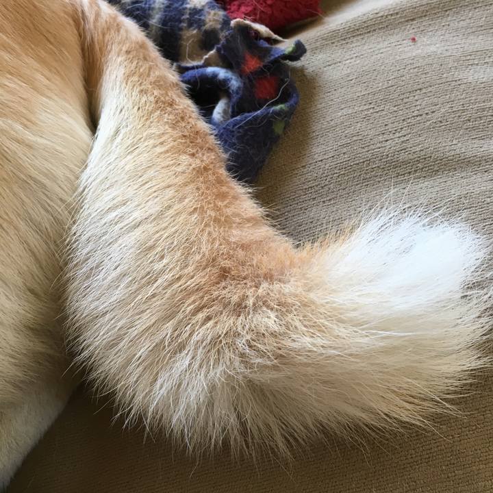 9afe979d b2e9 44c6 872b 07331bbde647