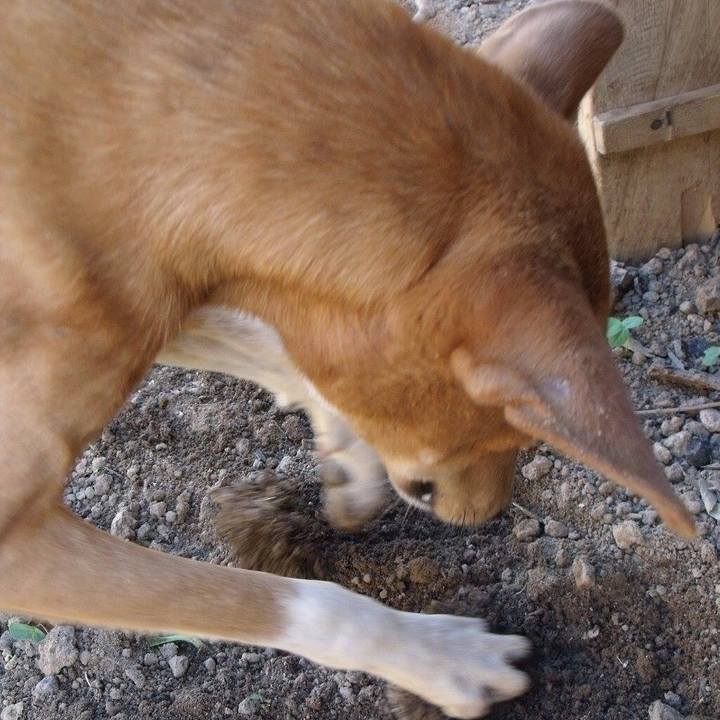 9afec941 2624 475b 9ee8 72d77389d6e2