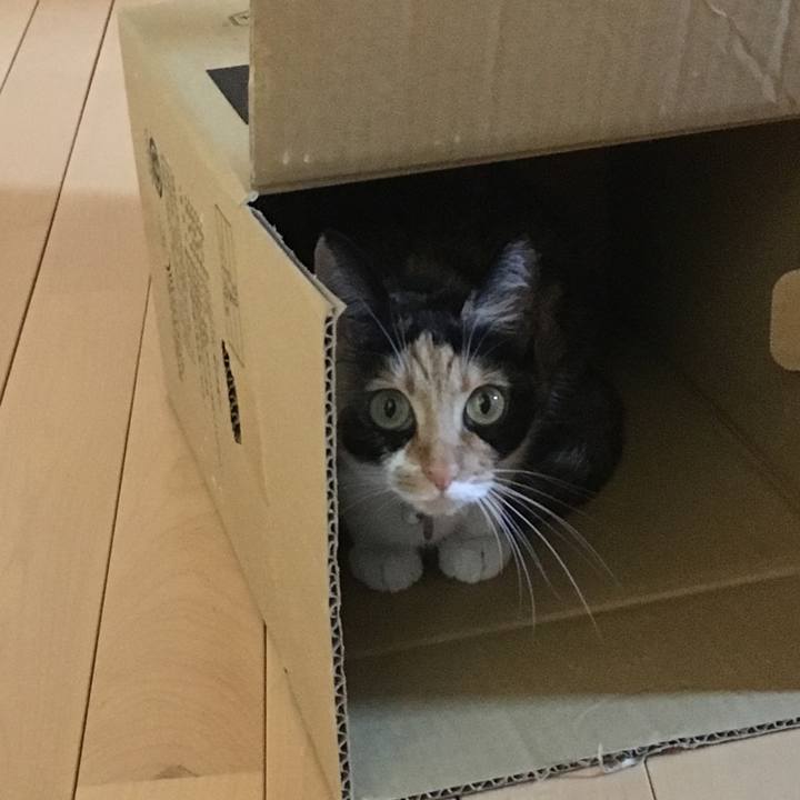 9aff35fd bf29 4bb7 80f3 da61b4109abc