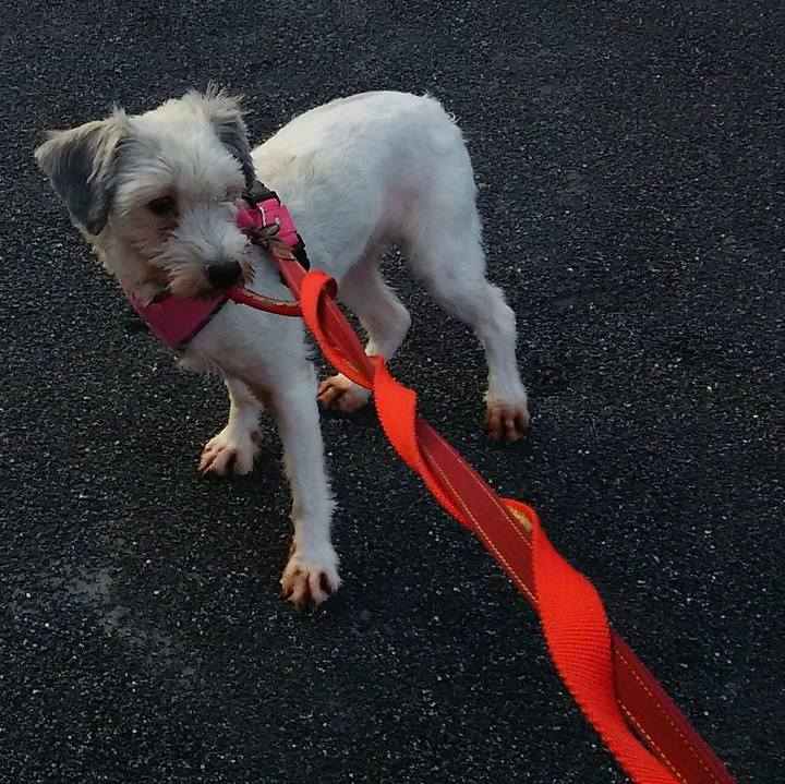 9affc619 67ae 445b a982 f590523d1fcc