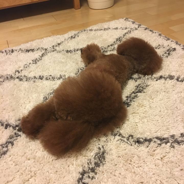 9b007587 ae42 47df a494 0b85872b8180