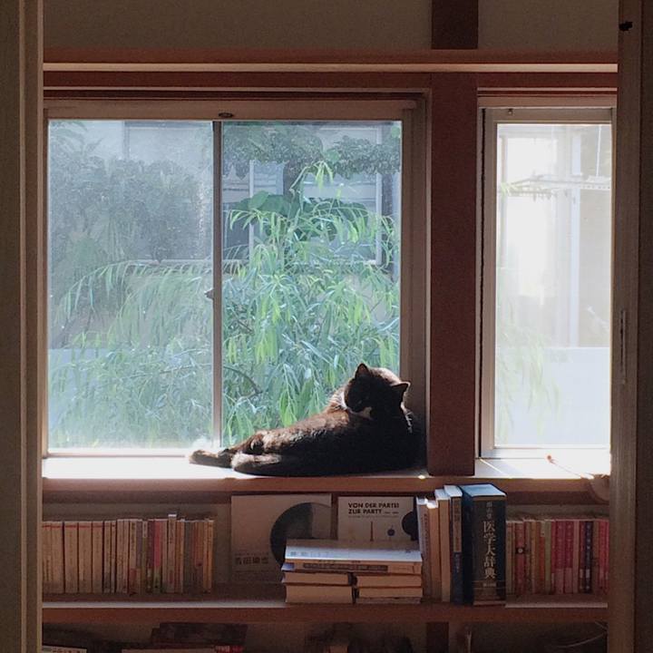 9b009c79 f976 4df7 8148 b05bff4b2518