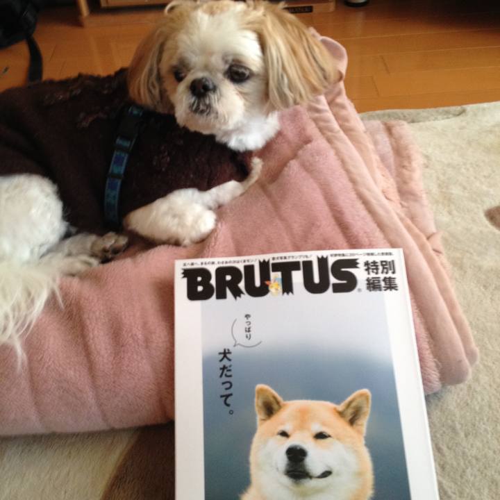 9b014641 7b14 46d6 9ab5 49870fc639b3