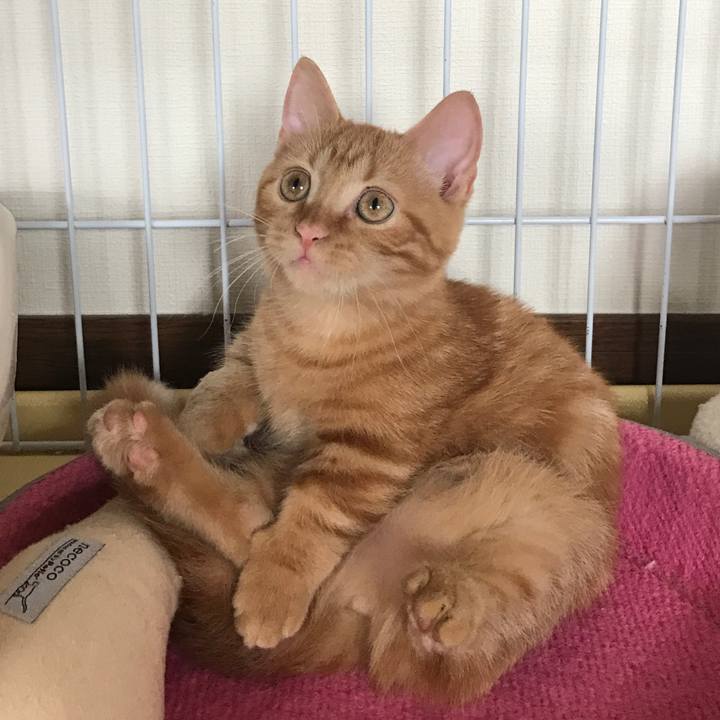 9b016a2e ec1f 44f0 8167 15ef3c491193