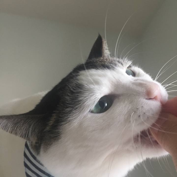 9b032288 b98a 4a6a beec 0b661da76f5f