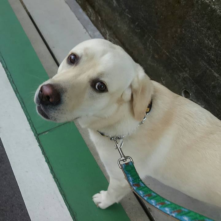 9b04df07 4c7e 4200 af80 5a720550da5d