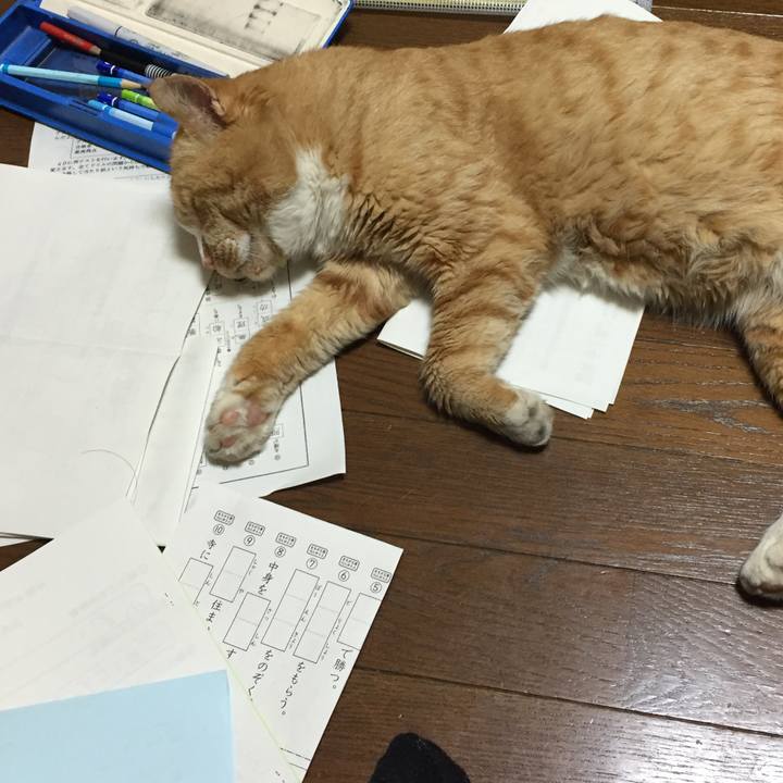 9b05374b 37aa 48d3 8174 19b64c74b446