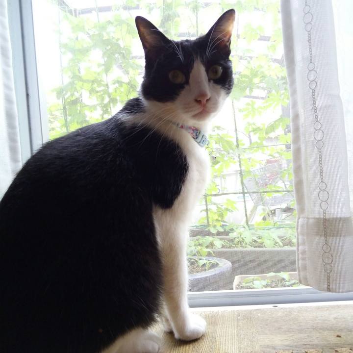 9b065f73 af20 46fd ad64 630b30858e45