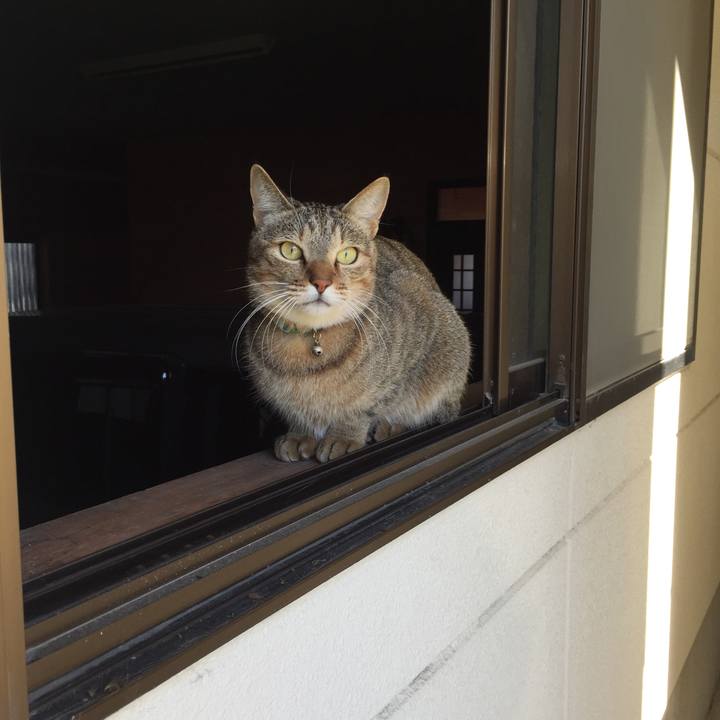 9b074ce7 21cc 44f3 8496 8723c1e9c95c