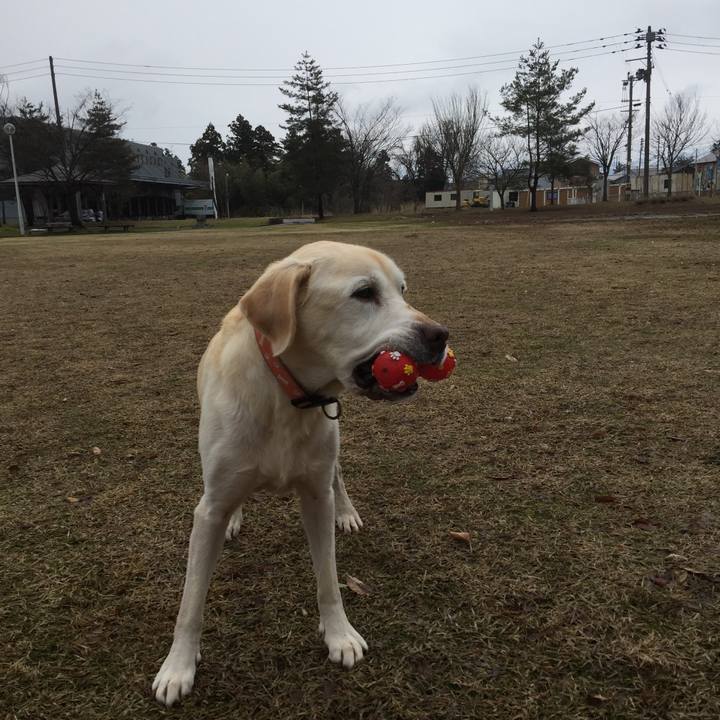 9b0760fa 3d3a 4c73 8364 a9872d1e5974