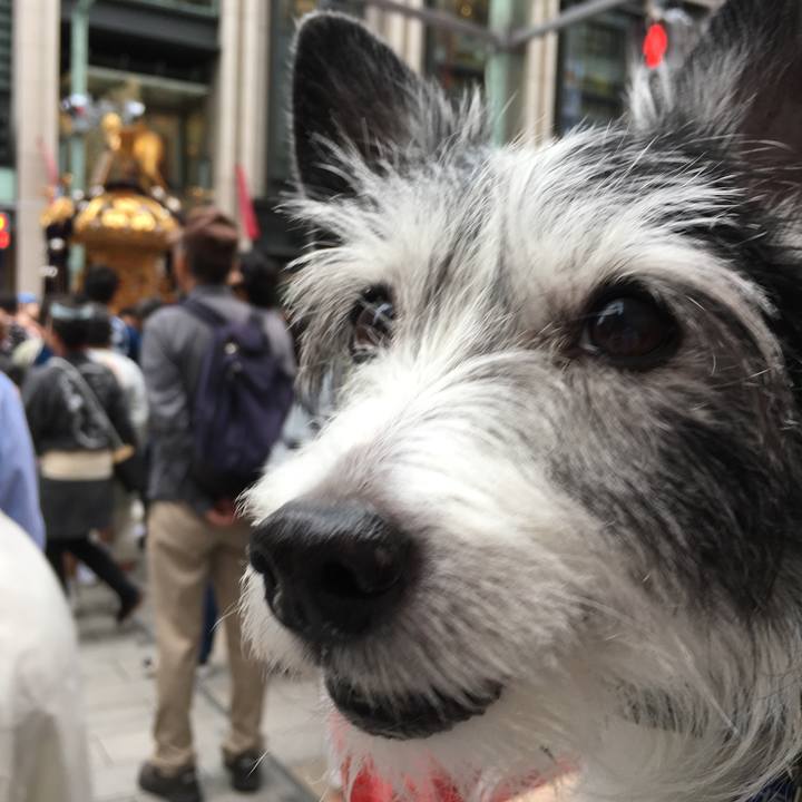 9b07a364 f32d 4bb2 988b 717f47076014