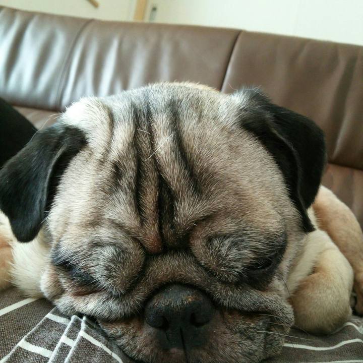 9b07ae24 5f94 42e9 937e 674ef5e5d52d