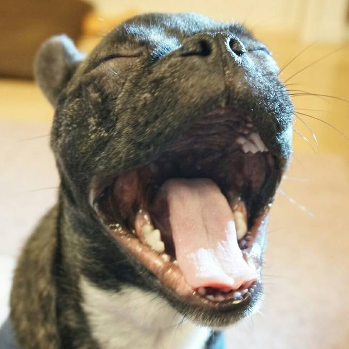 9b0905ac a6d5 496f 817b aebea2193fe8