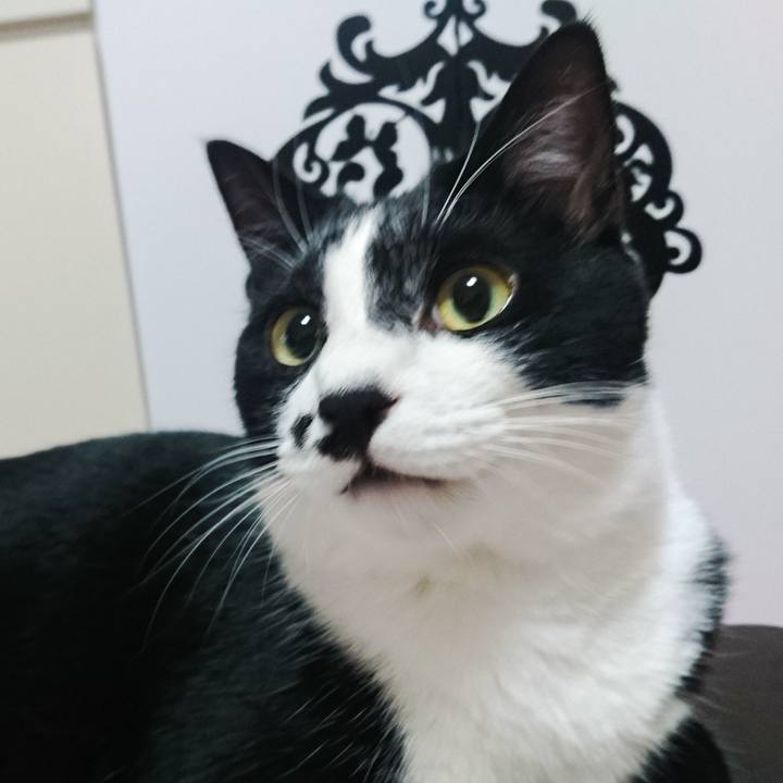 9b095997 3dee 4a2a 9b1e 05d0e81d69b2