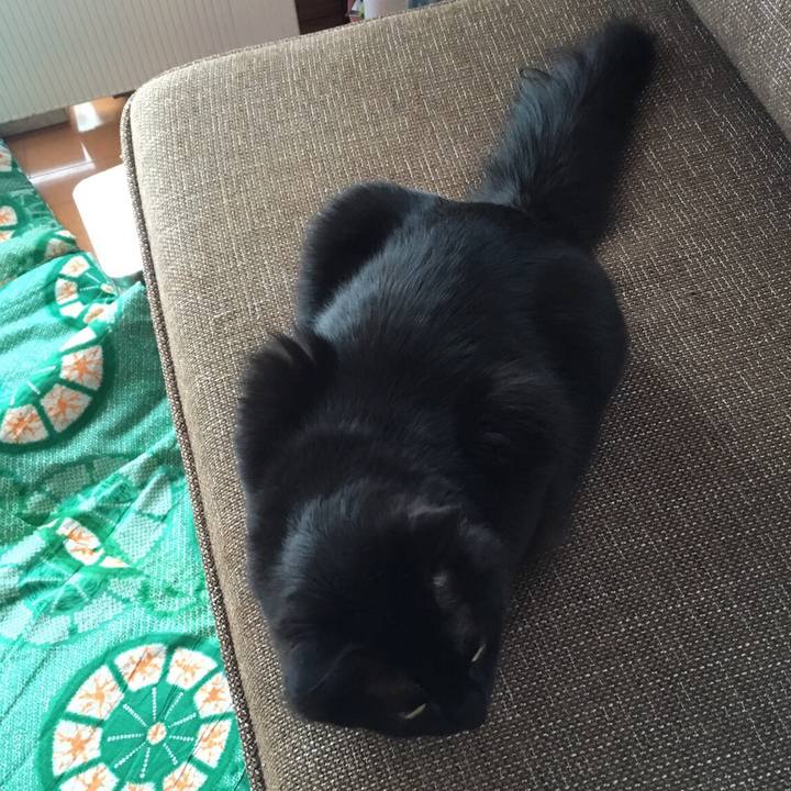 9b09f29c 535d 400e 9c1b e3da23b3c67d