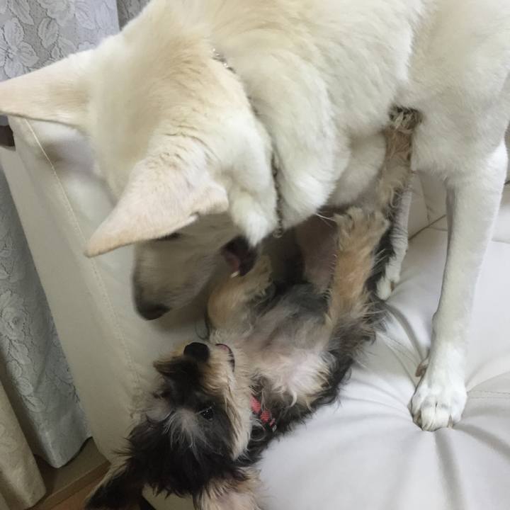 9b0a7c79 f357 457b 86e2 d6b14b5eb9d5