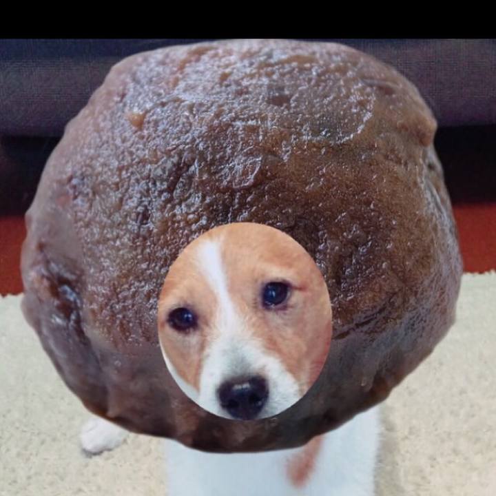 9b0aae7b 0da3 4952 9f60 c0674ebdbabf