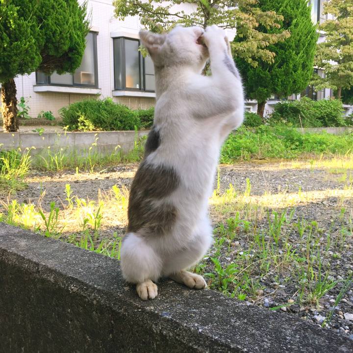 9b0ac365 2cf3 4c4f a4ff dbd7358f1dba