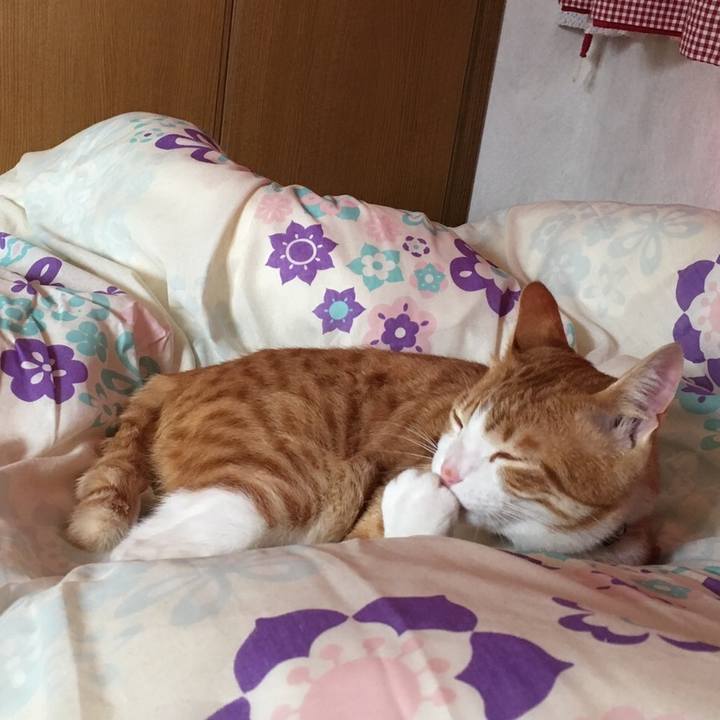 9b0b2a51 5da4 4305 bcd8 01b03d1a7c39