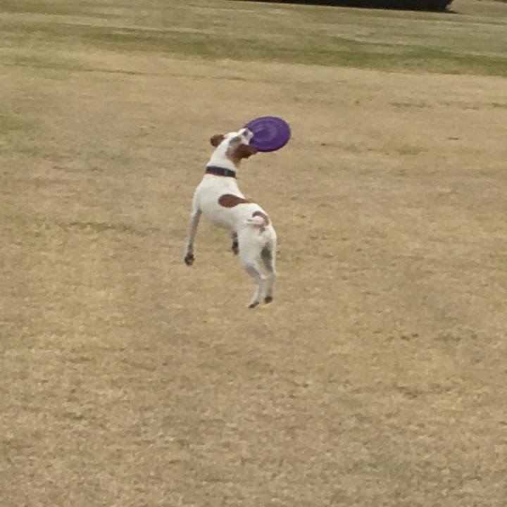 9b0b5643 c811 42ed 9ec7 cf8eef91fefb